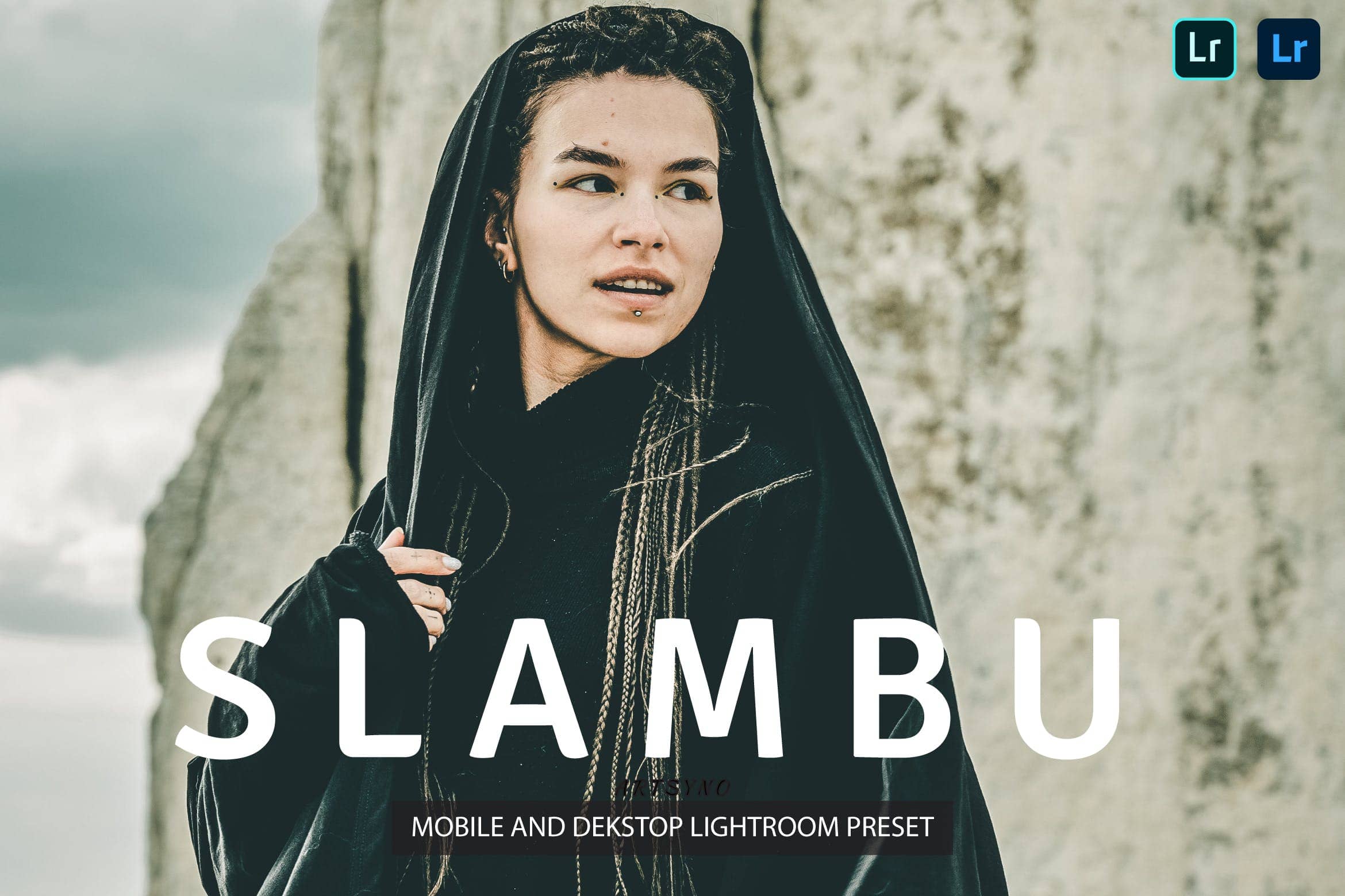 斯拉布调色预设 Presets Dekstop and Mobile