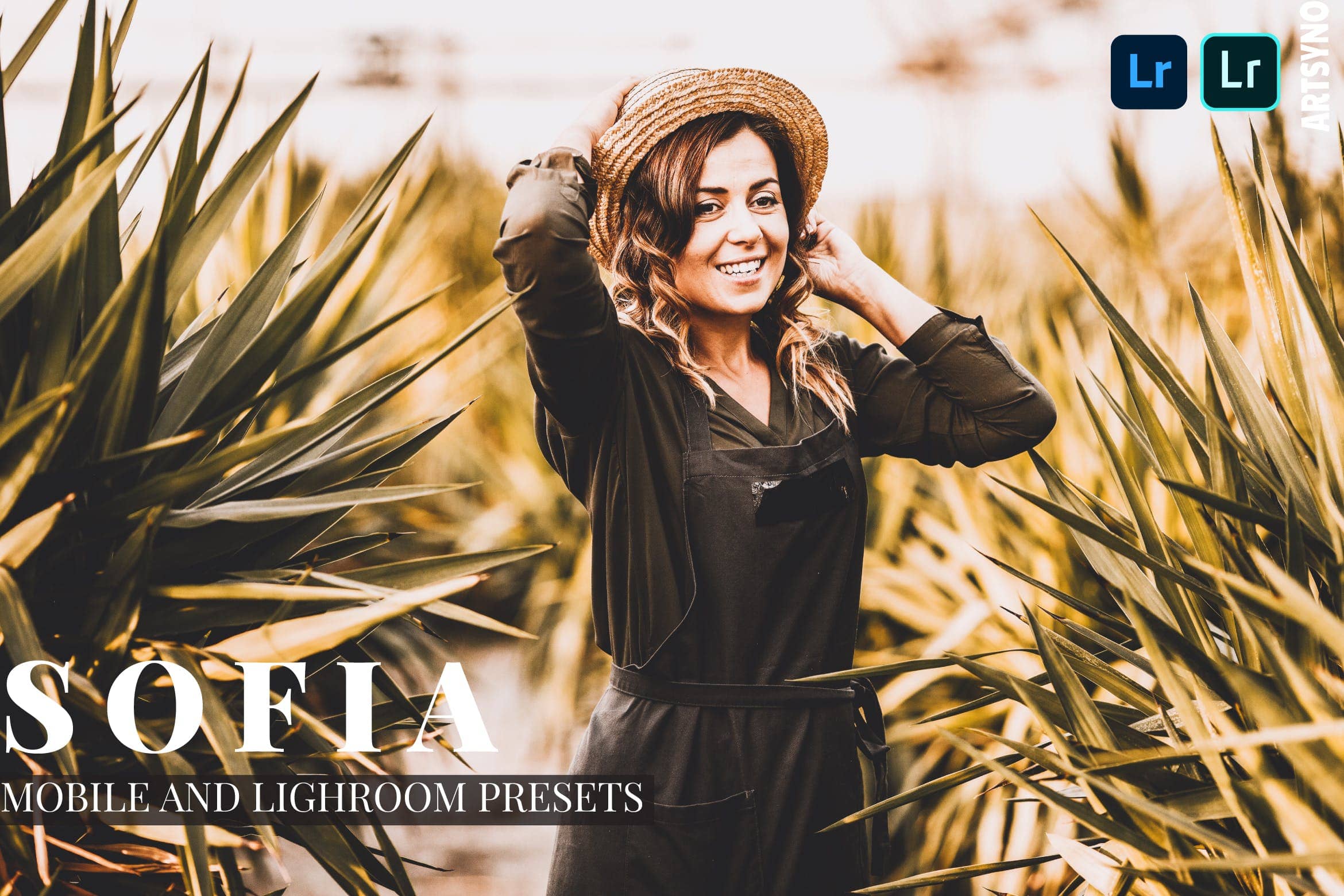 索非亚调色预设 Dekstop and Mobile