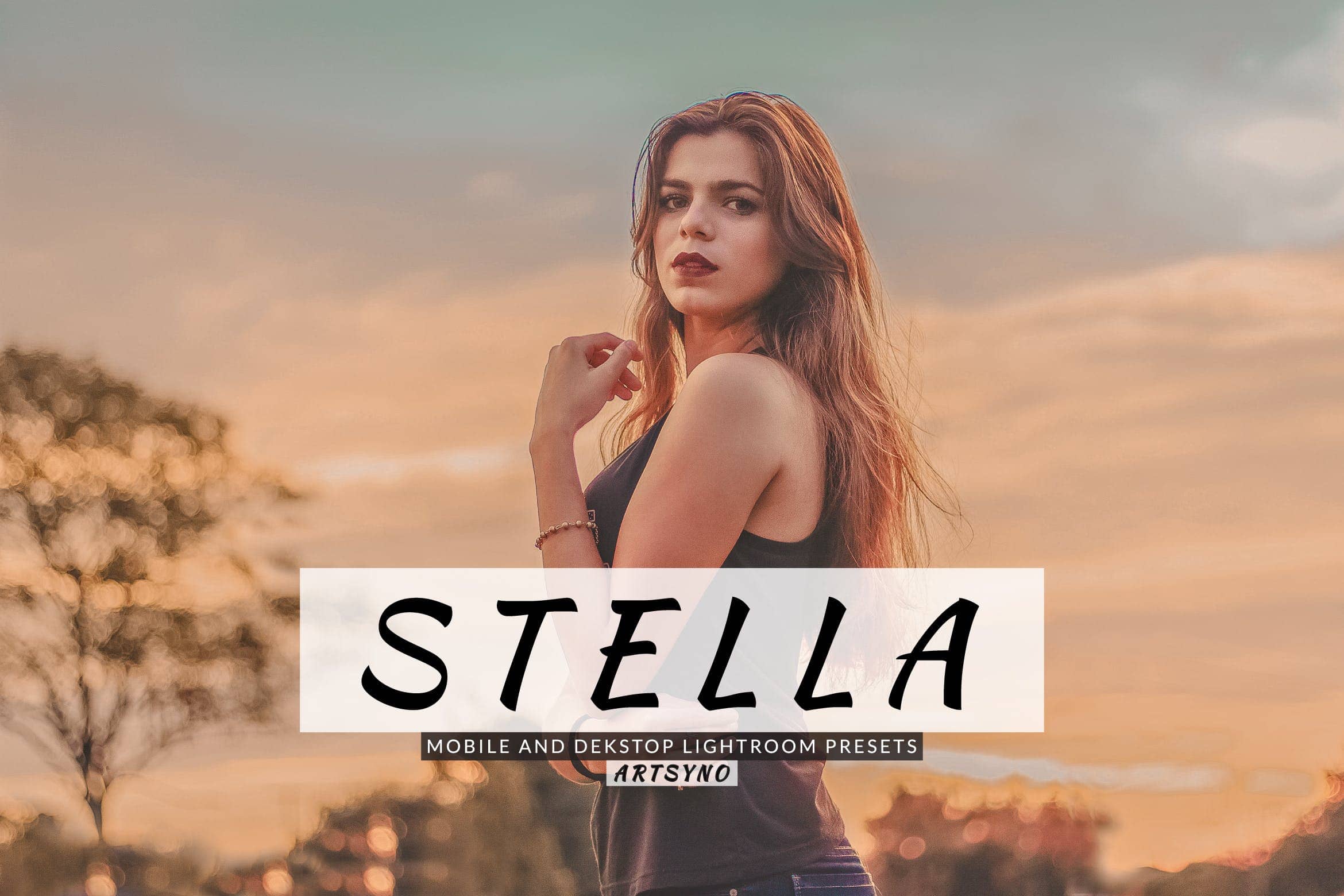 斯特拉调色预设 Presets Dekstop and Mobile