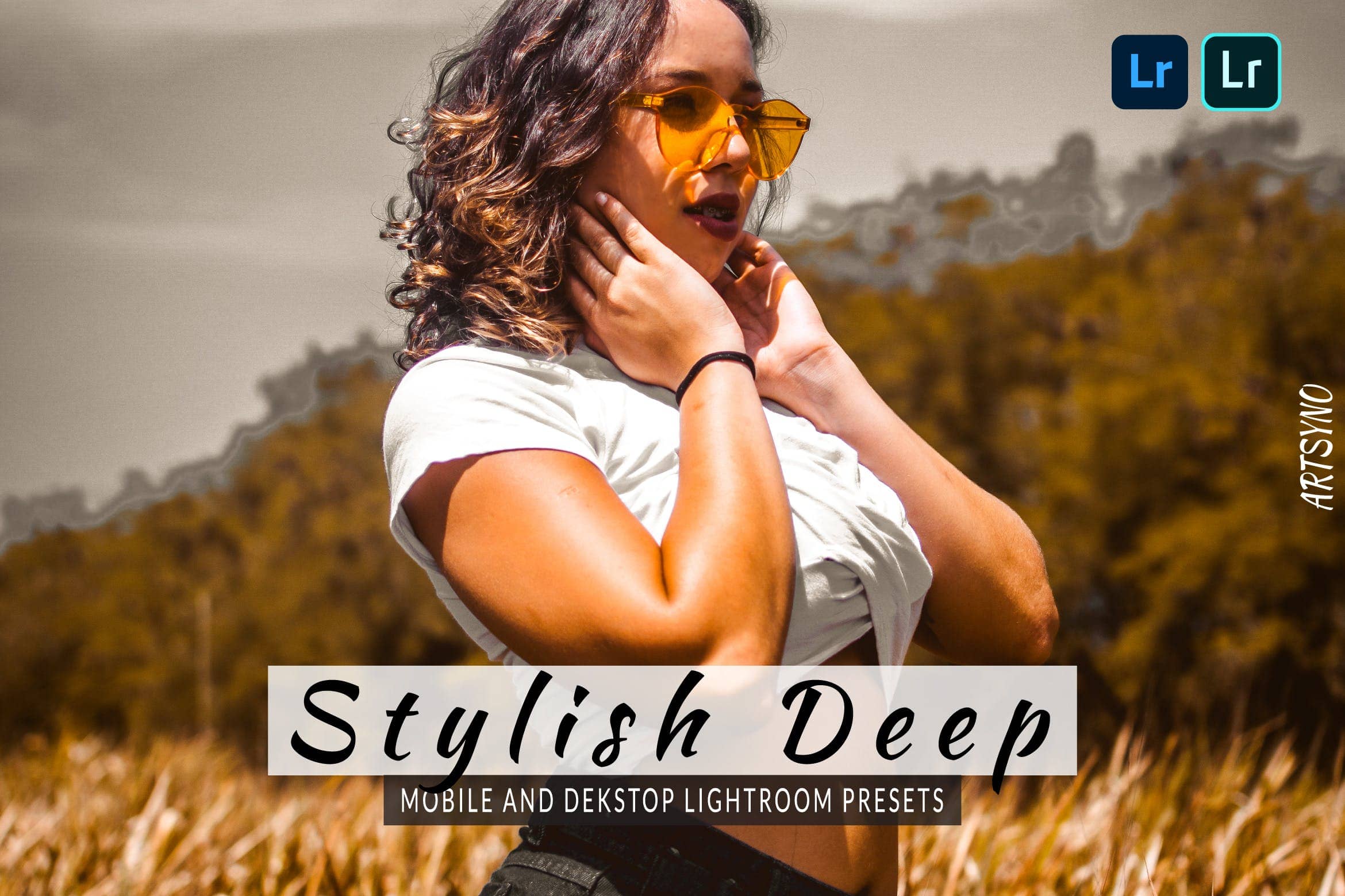 时尚的深光室调色预设 Presets Dekstop and Mobile