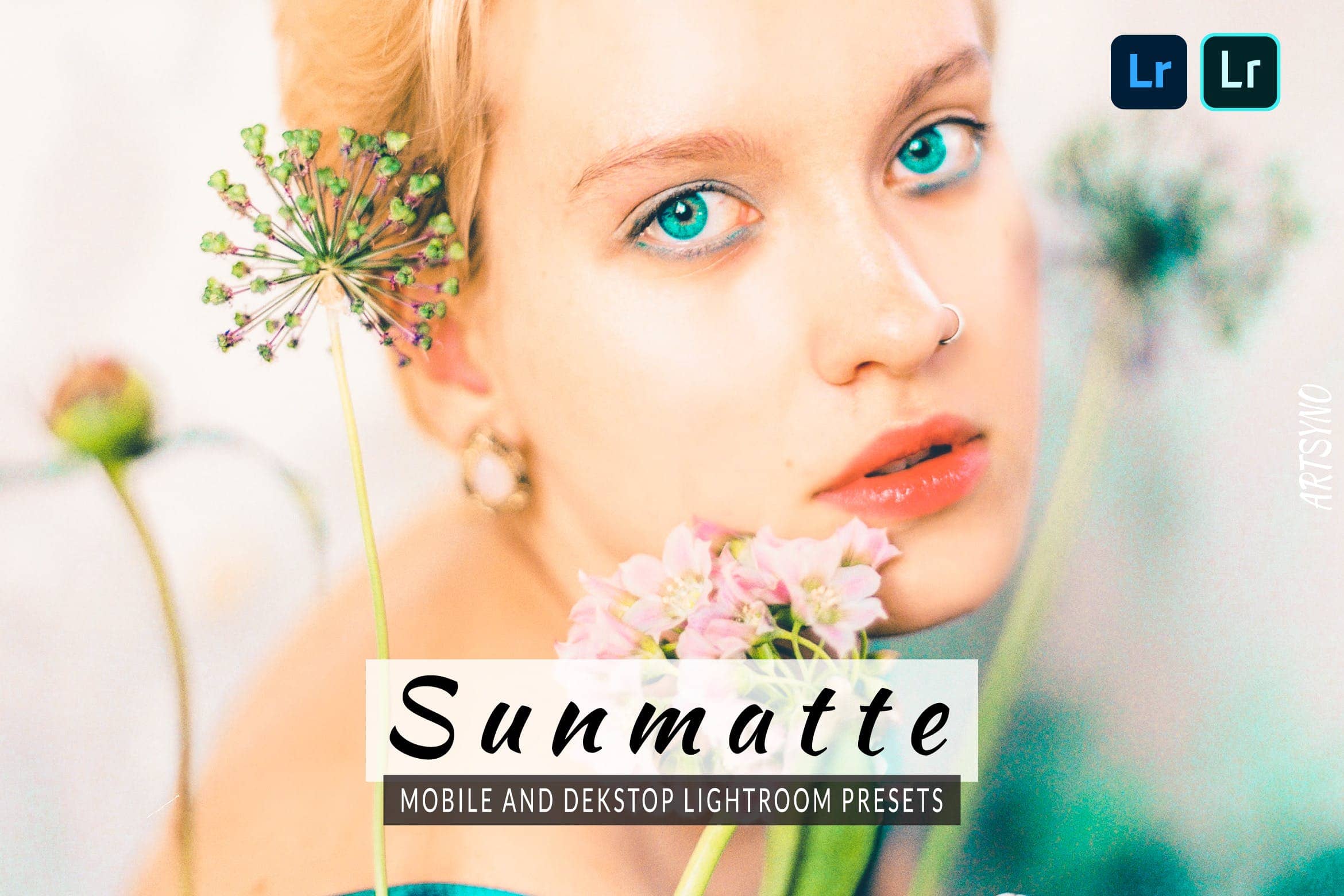 摄影调色预设 Lightroom Presets Dekstop and Mobile