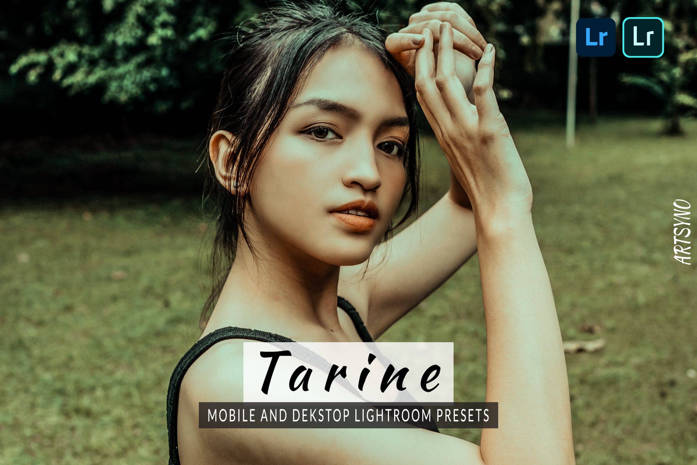 塔琳调色预设 Dekstop and Mobile