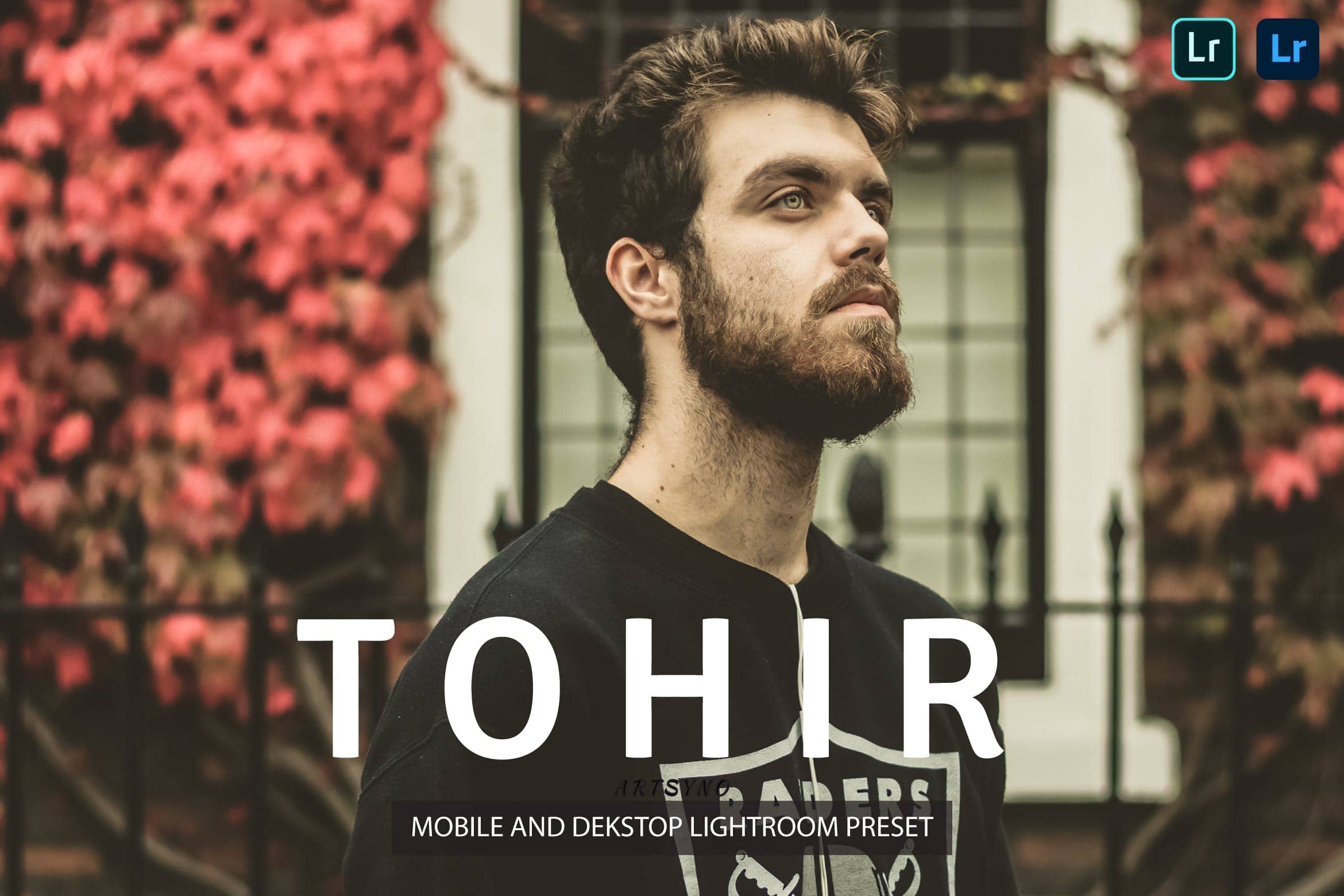 托希尔调色预设 Presets Dekstop and Mobile