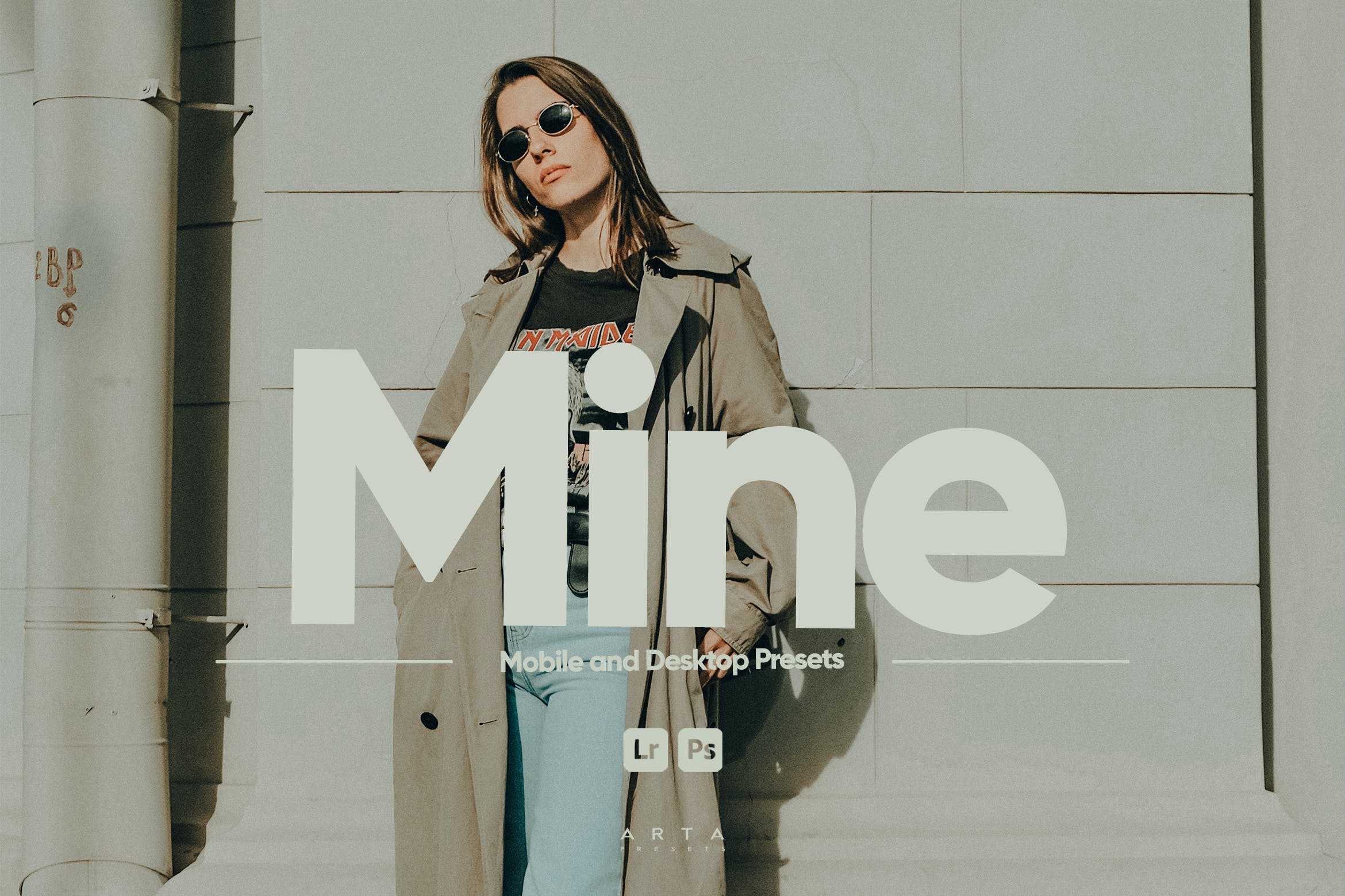 以我为主题预设