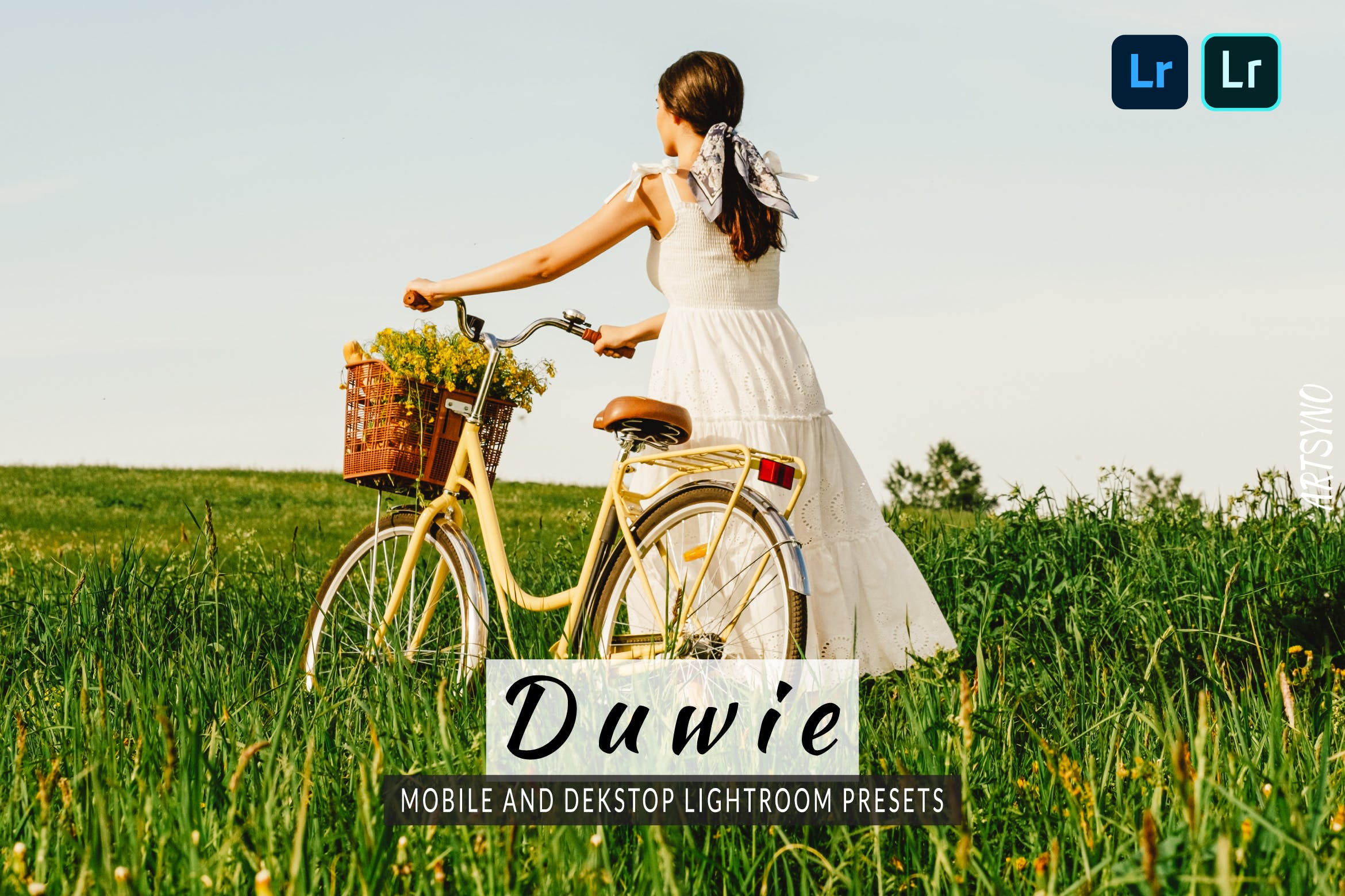 杜维环境预设Dekstop and Mobile