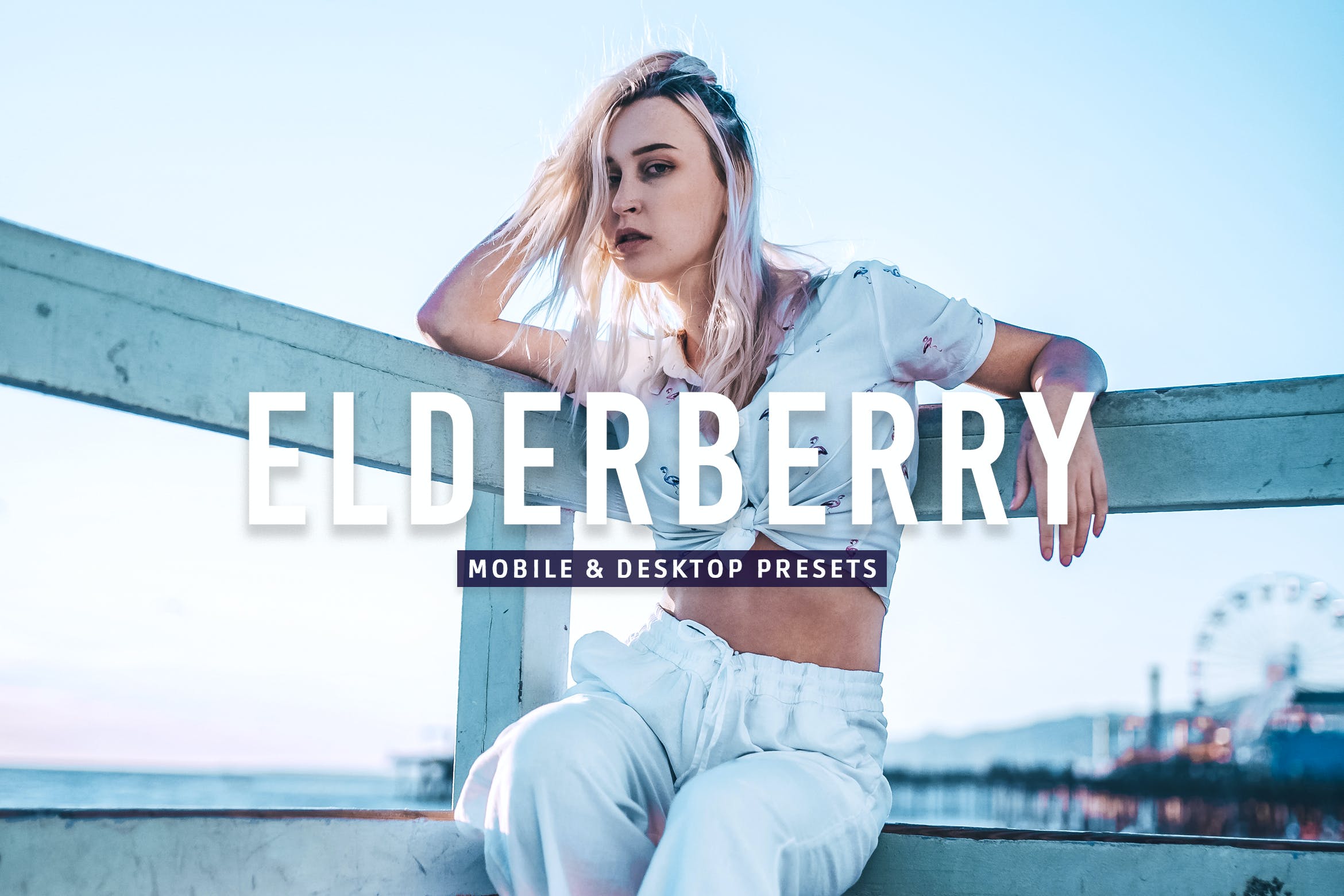 接骨木花色系预设 & Desktop Lightroom Presets