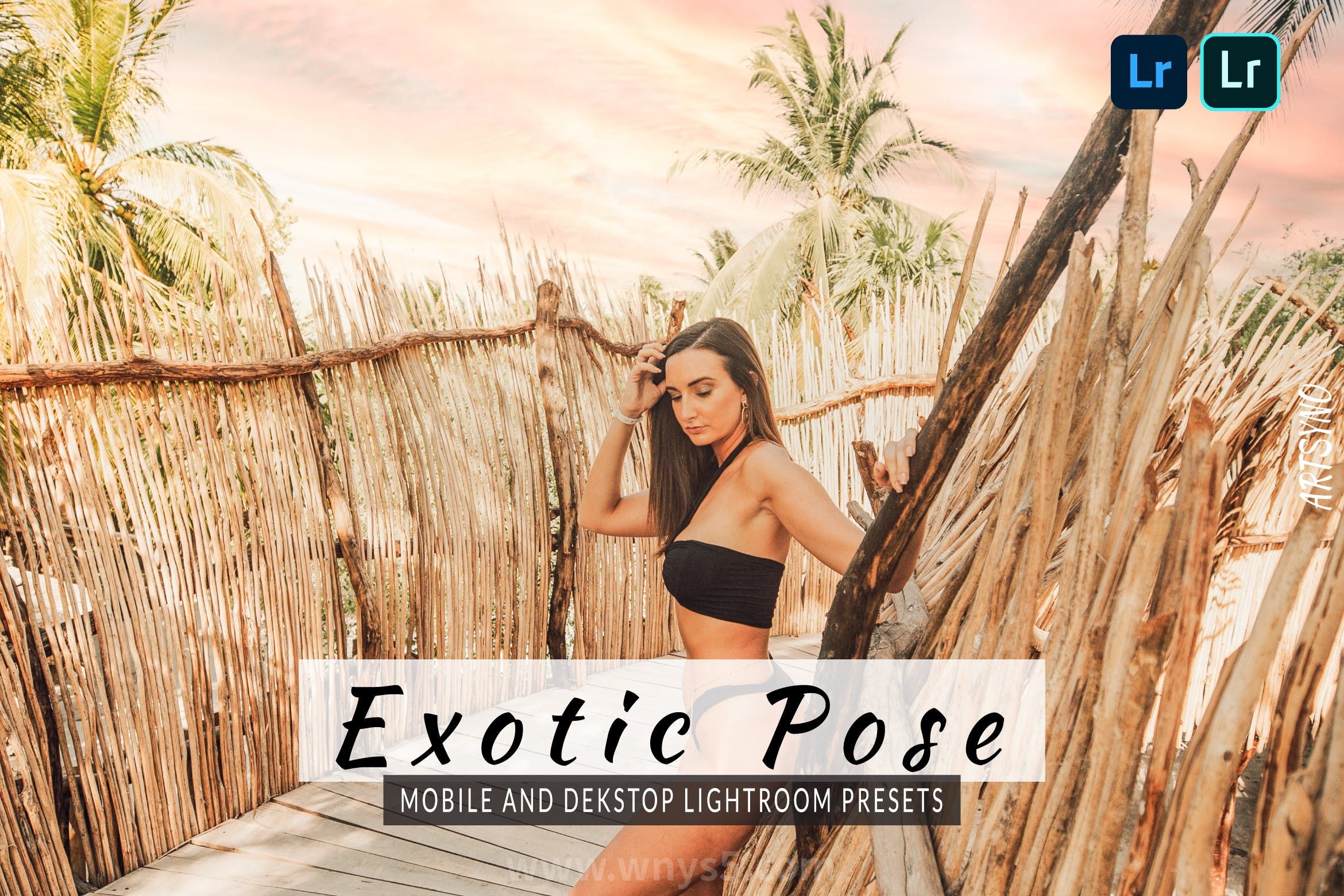 异国情调的姿态预设 Dekstop and Mobile