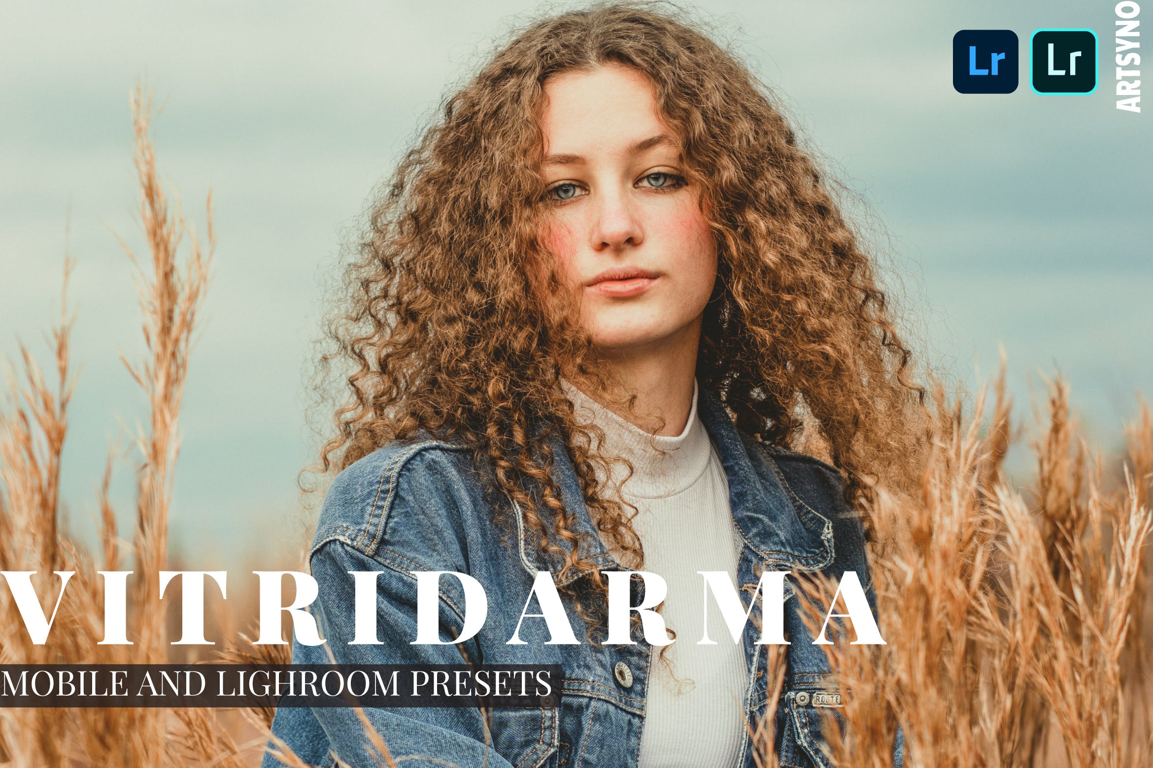 Fitridarma Lightroom Presets Dekstop and Mobile