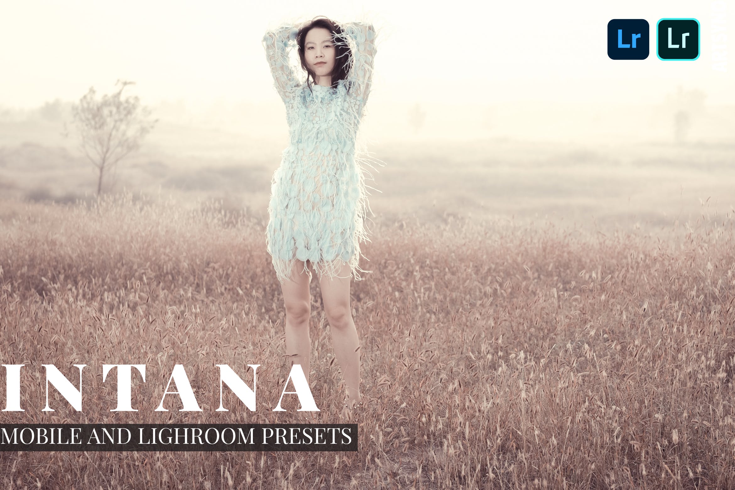 Intana 质感预设 Dekstop and Mobile