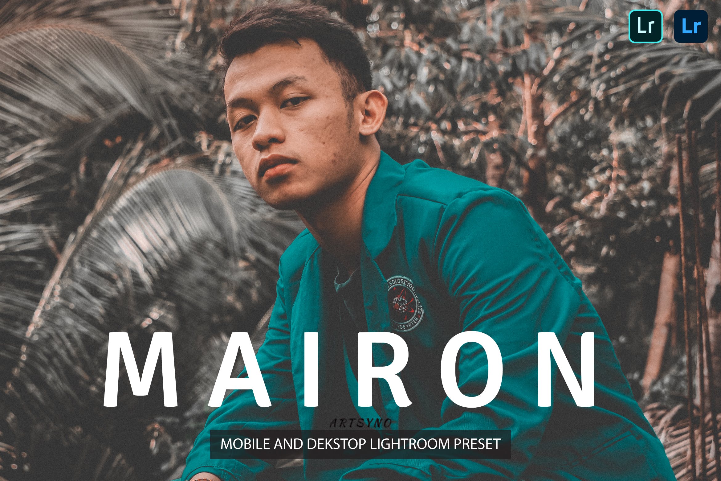 迈龙质感画风预设 Dekstop and Mobile