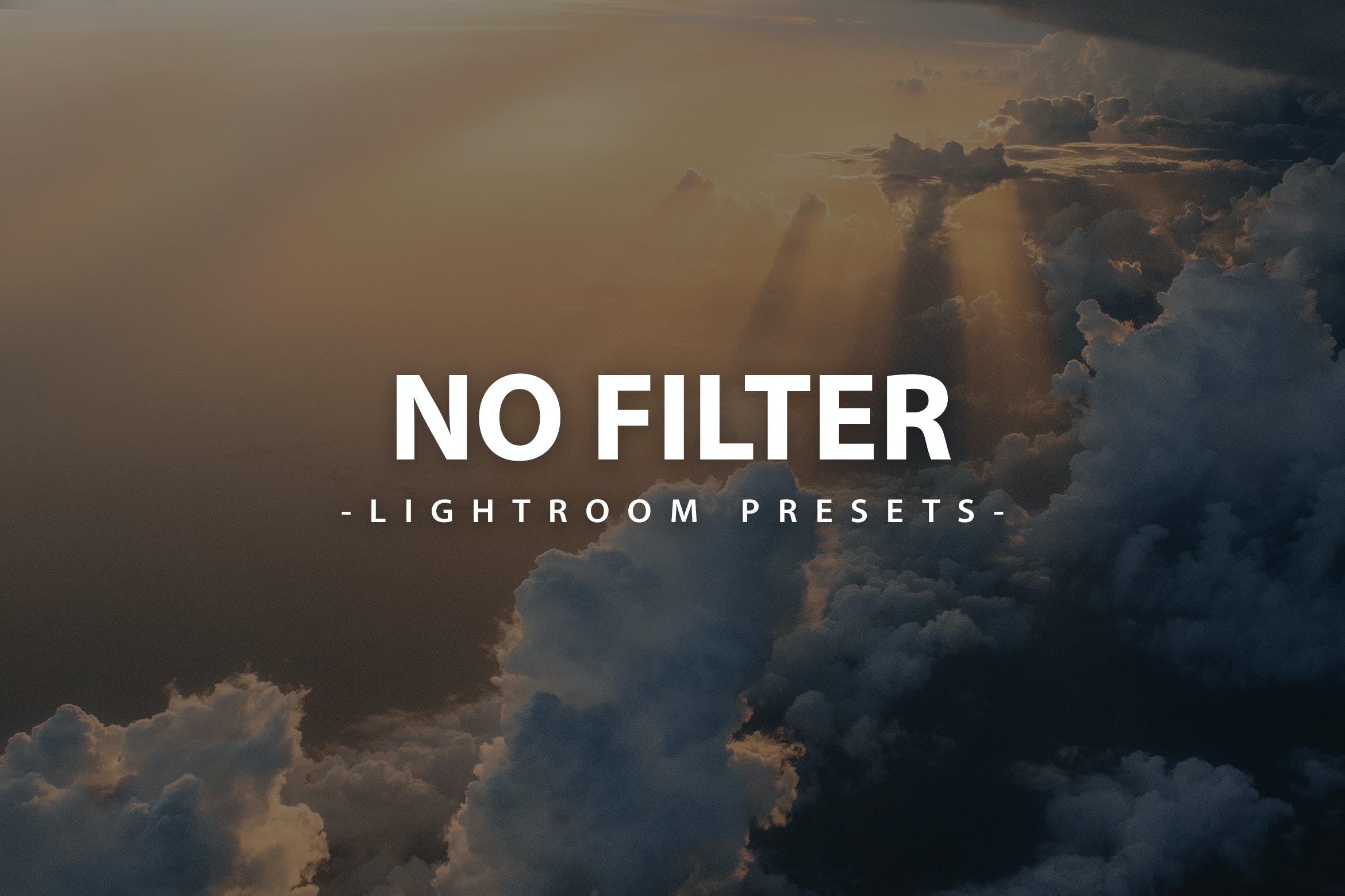 No Filter  Lightroom Presets