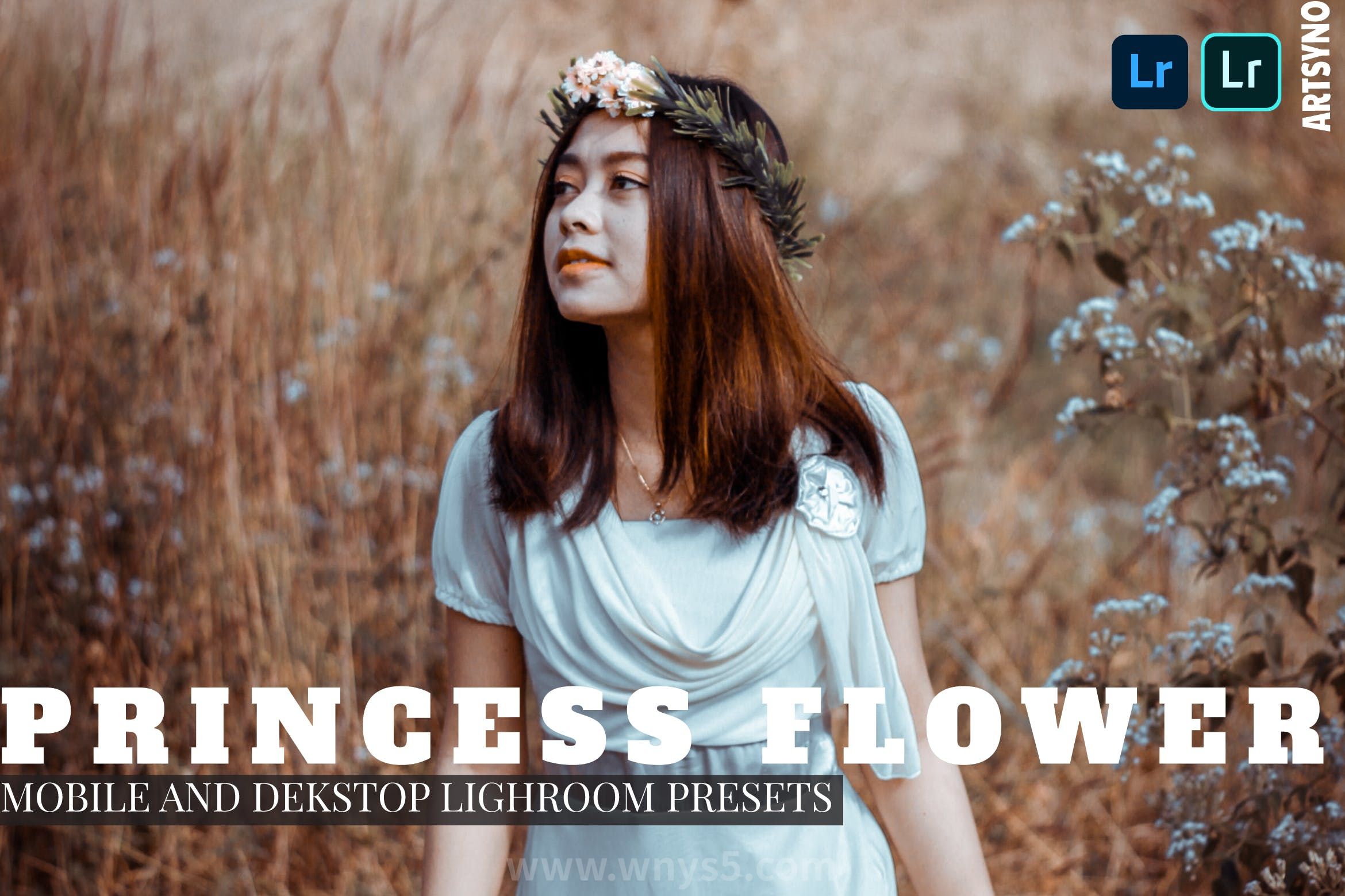 德克斯特画风预设 Dekstop Mobile