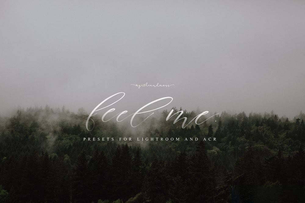 电影婚纱后期Lightroom+ACR预设  Feel Me Presets for LR and ACR
