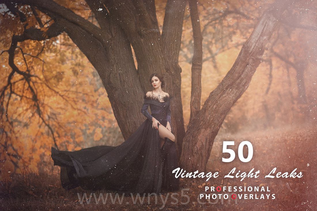 50款复古漏光叠加层照片预设