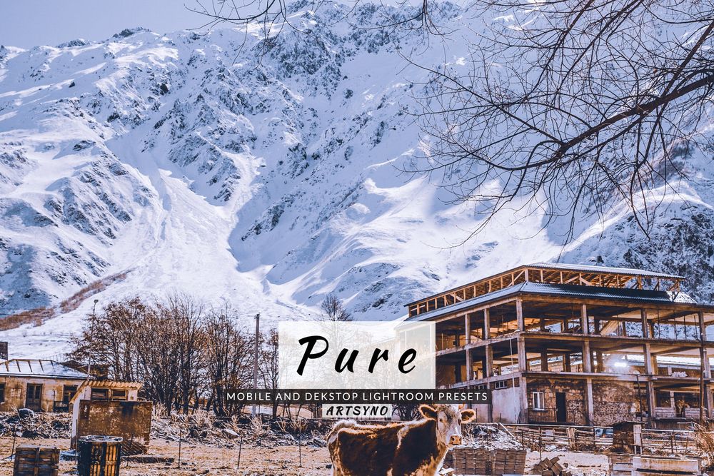 纯光室预设 Dekstop 和移动