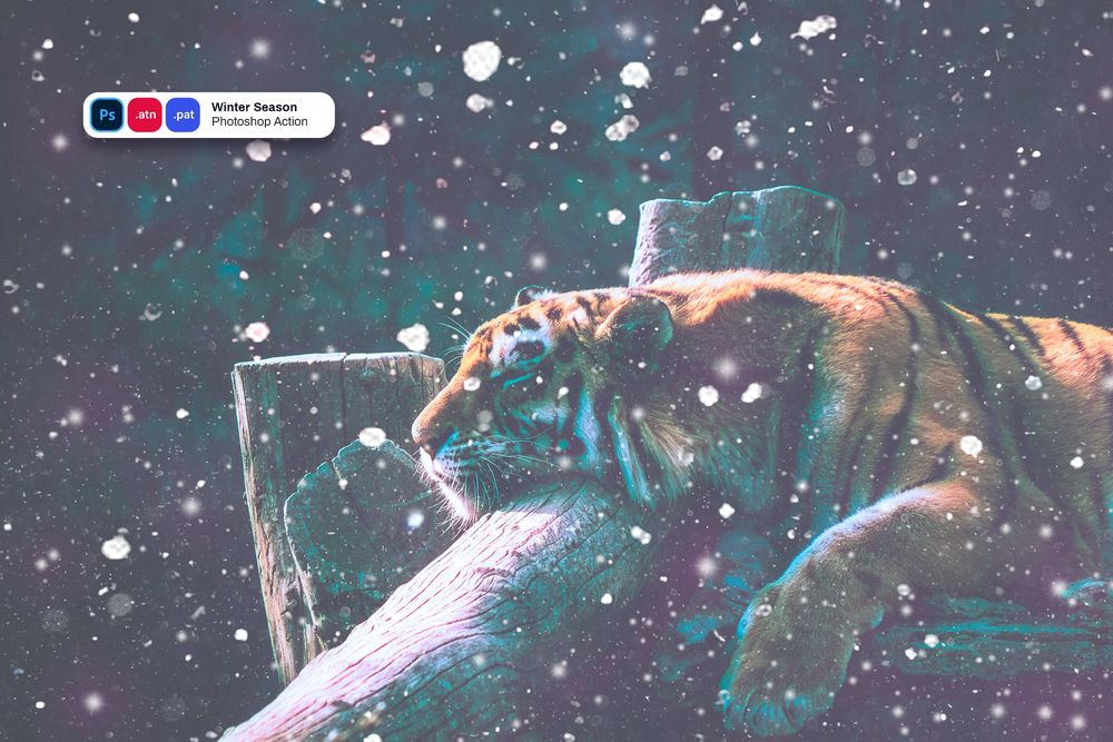 冬季风光摄影预设