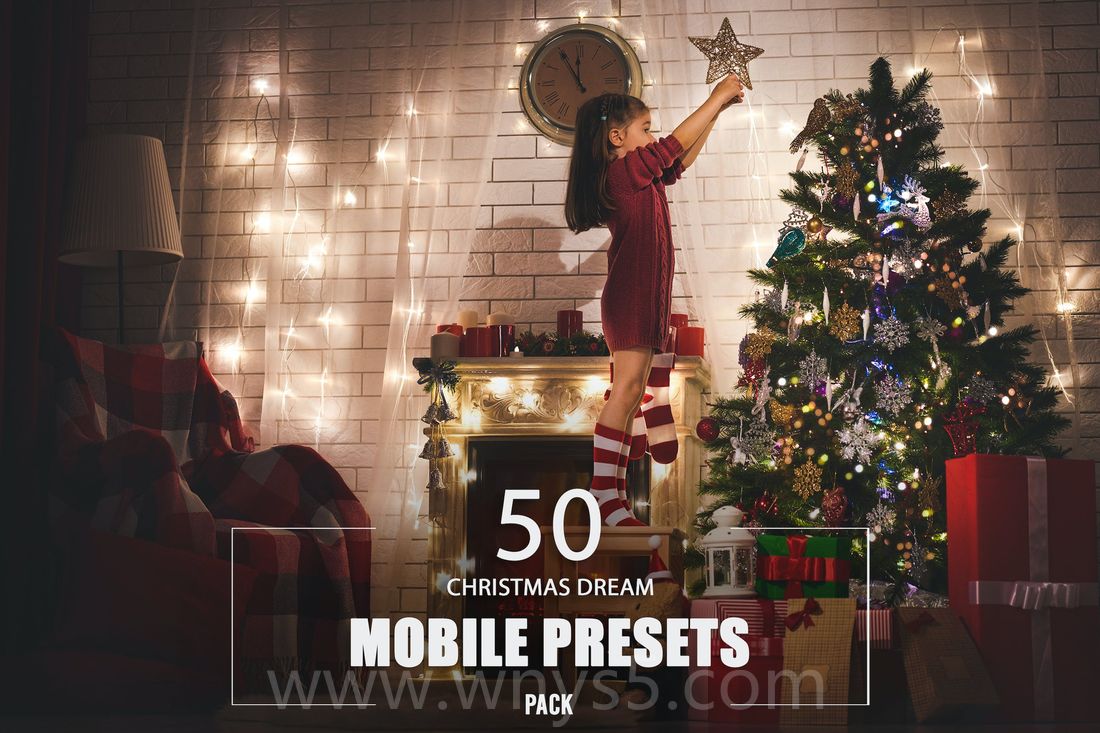 50款 圣诞梦主题照片预设