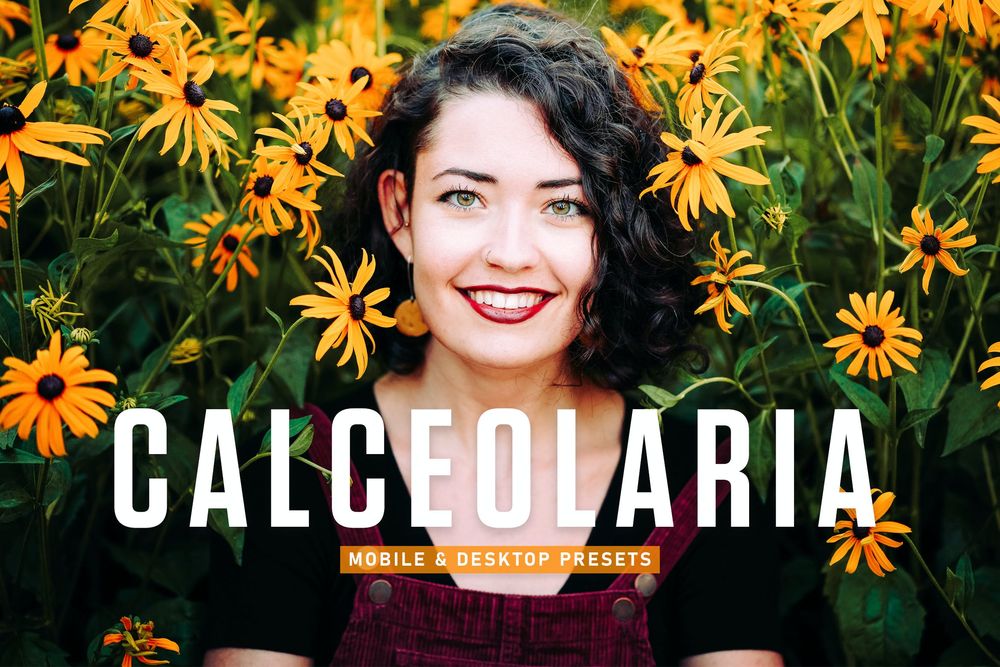 荷包花绿色健康植被主题环境照片预设