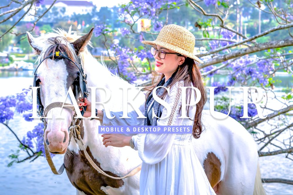 飞燕草色系主题画风预设