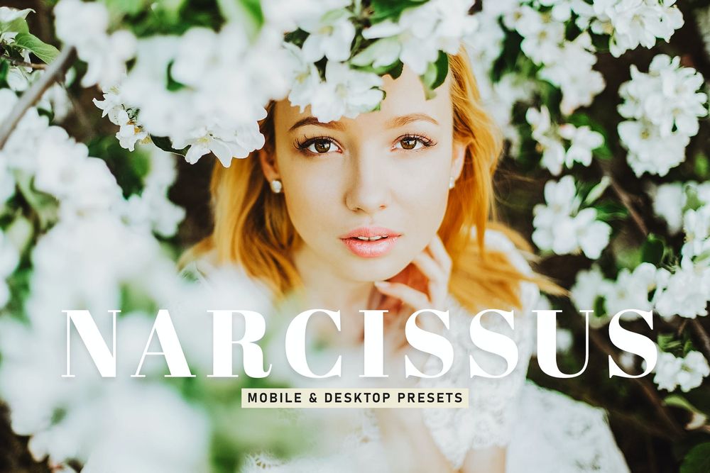 水仙花绿植主题拍照预设