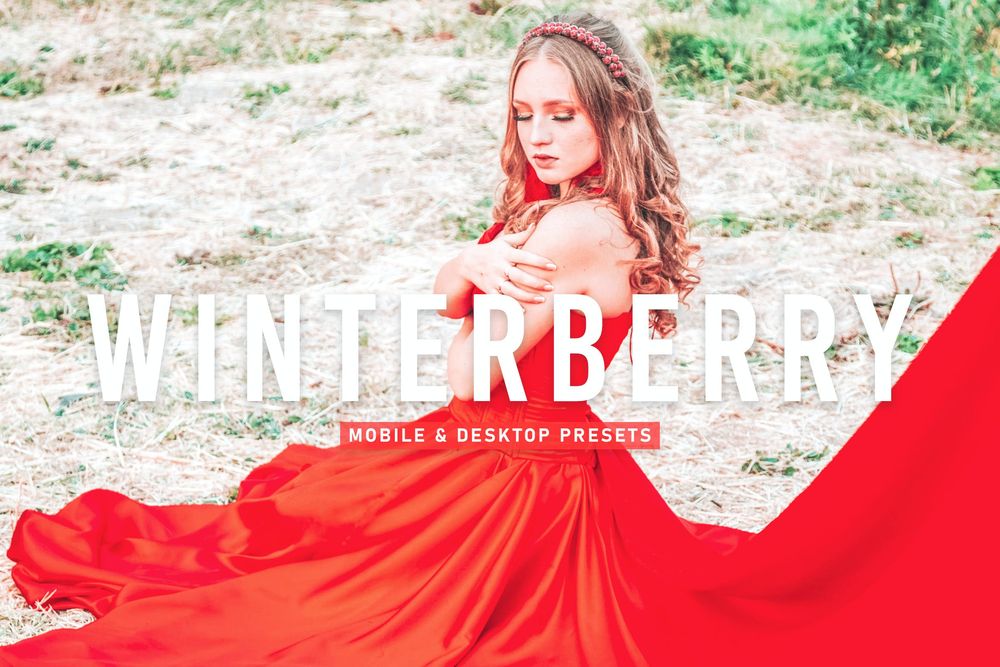 Winterberry环境美拍预设