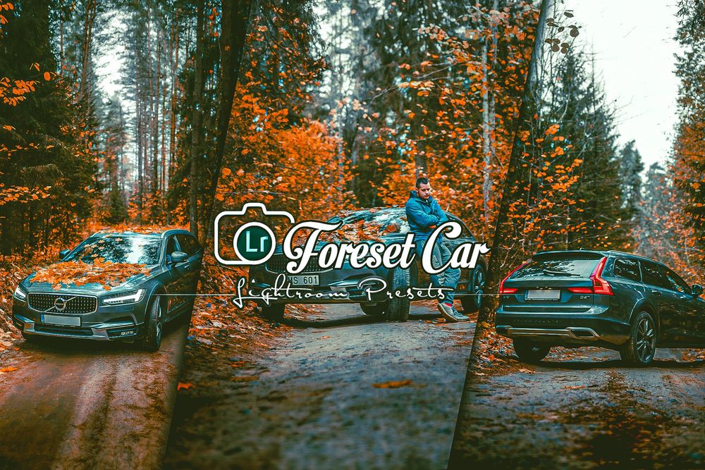 Forest Lightroom Presets