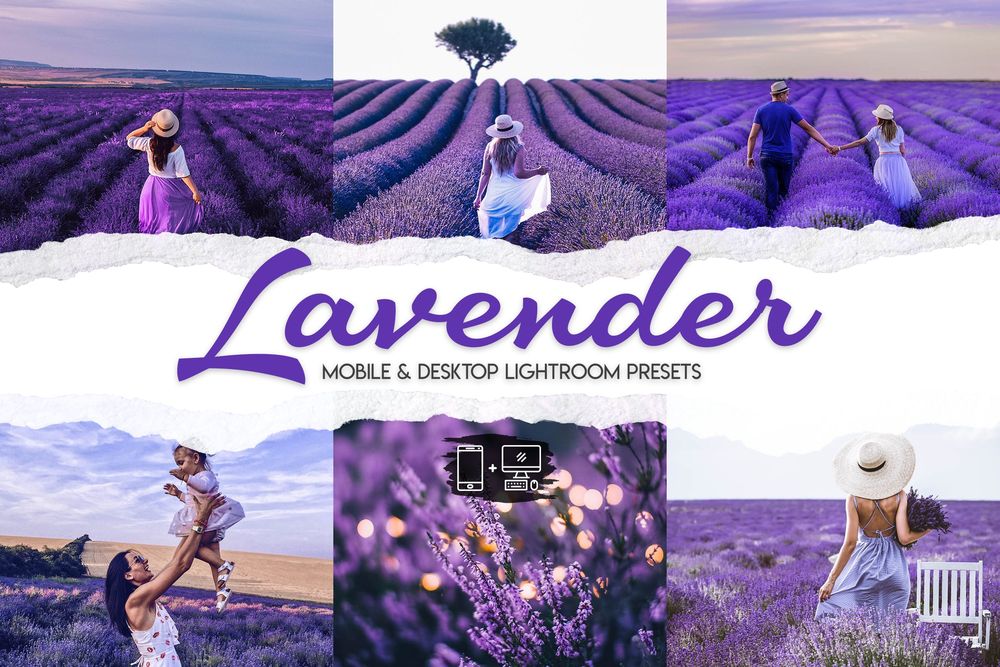 15款高级薰衣草植被紫色调画面预设