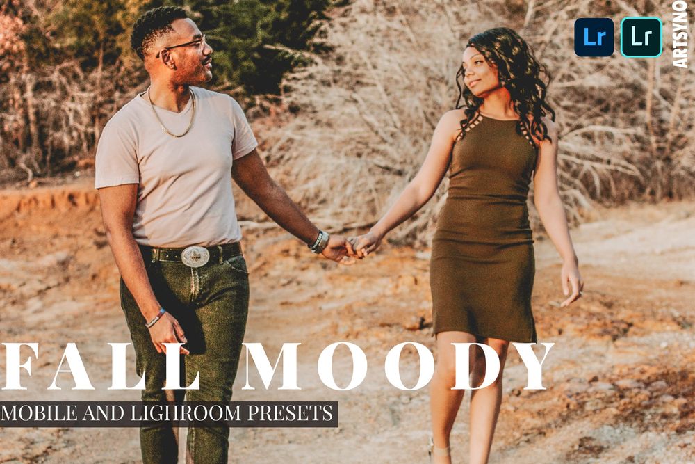 Fall Moody Lightroom Presets Dekstop and Mobile