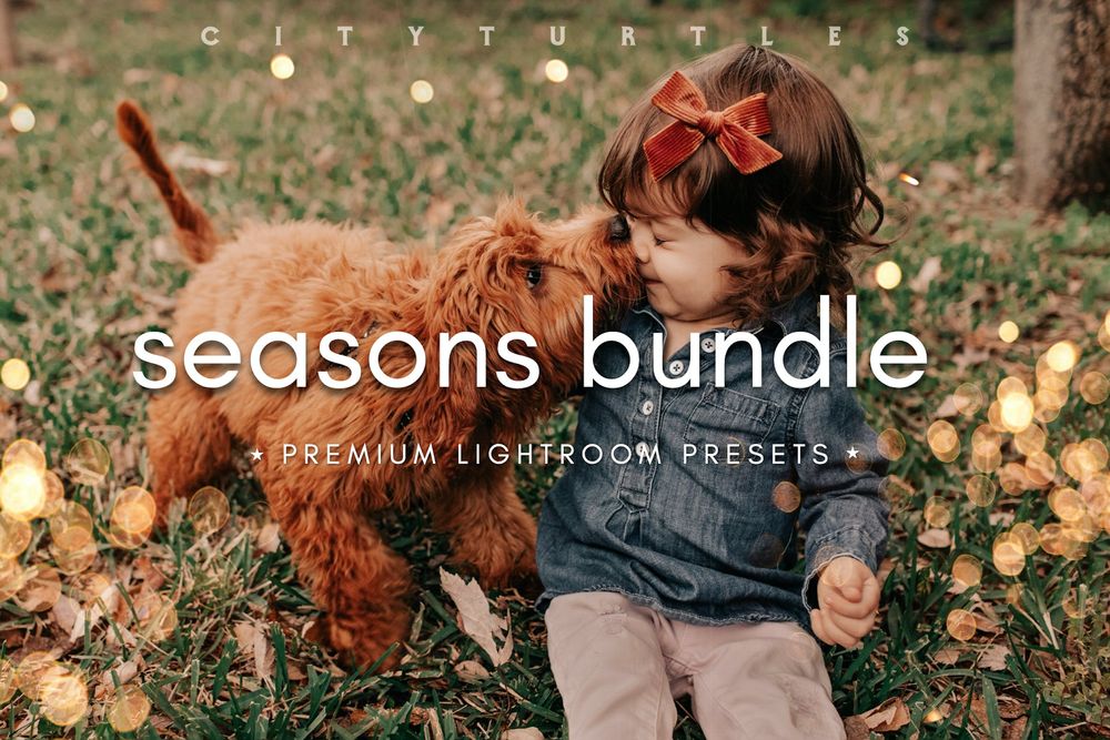 SEASONS BUNDLE Fall & Winter Lightroom Presets