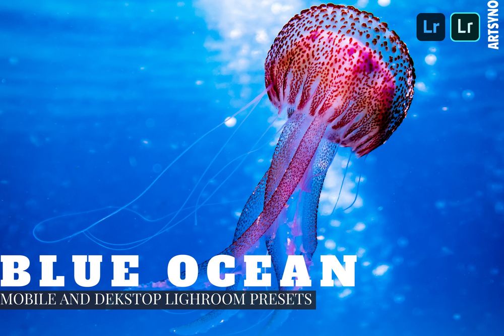 蓝色海洋水生动物环境主题拍照预设