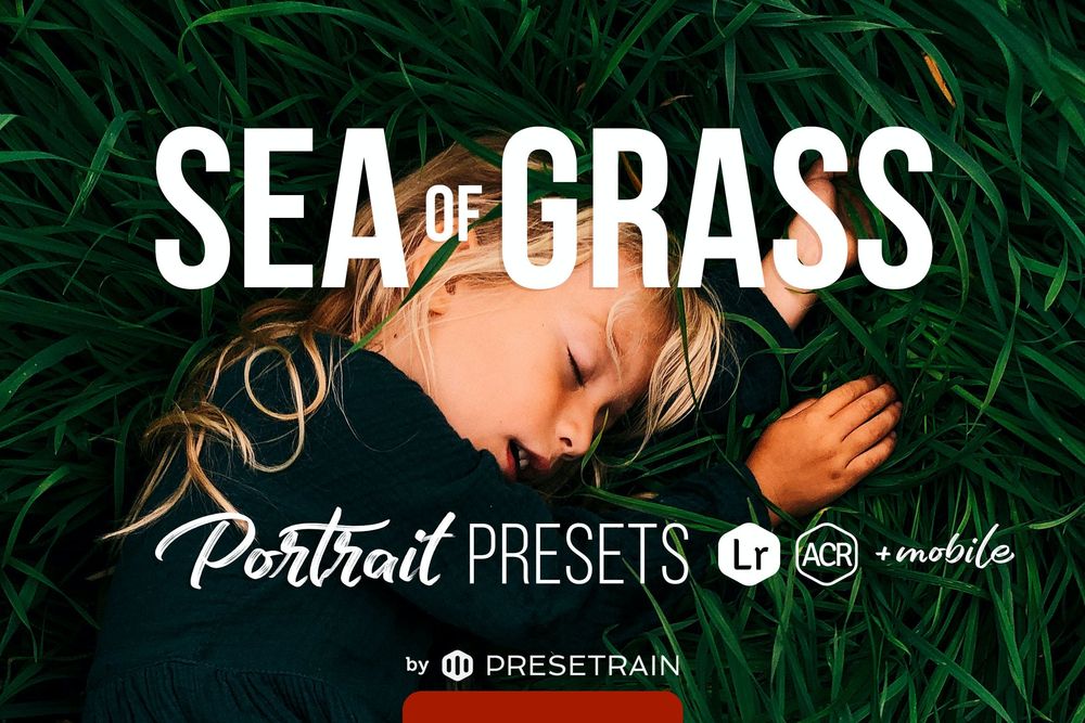 海草绿色健康画面预设