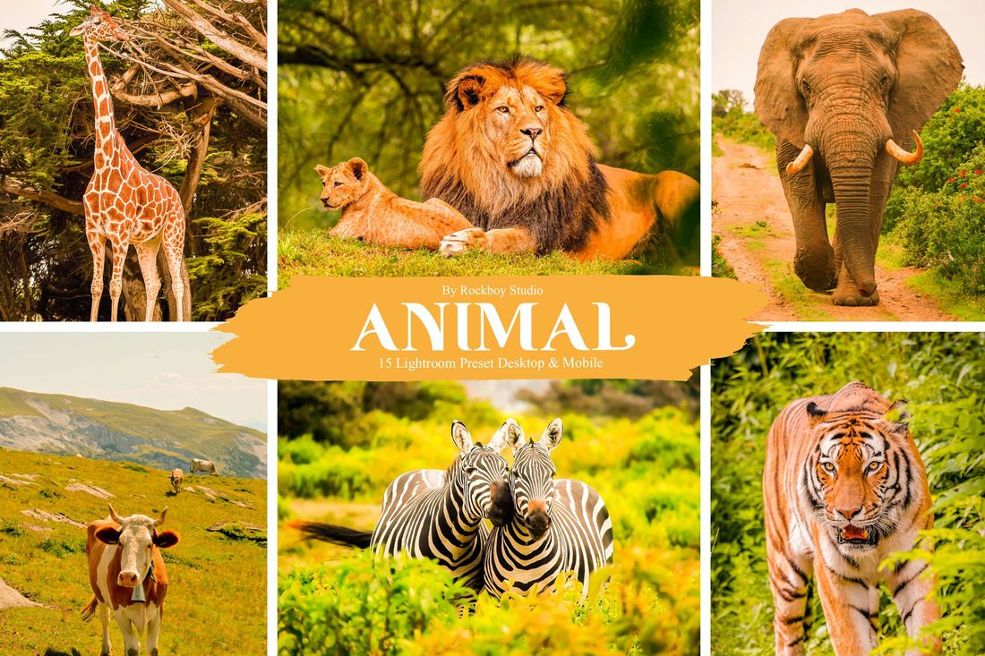 15 Animal Lightroom Presets