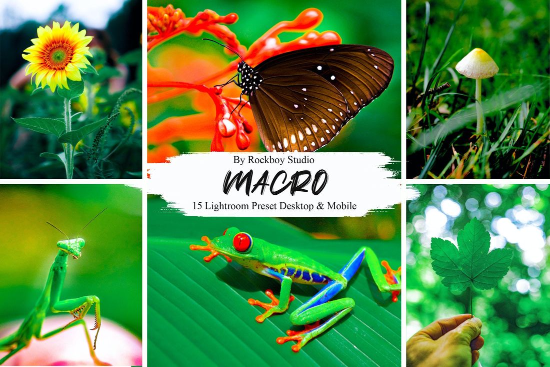 15 Macro Lightroom Presets