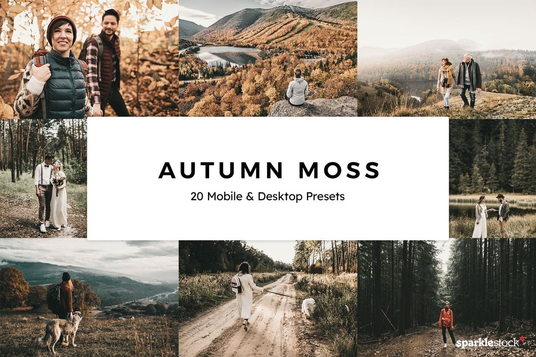 20 Autumn Moss Lightroom Presets & LUTs