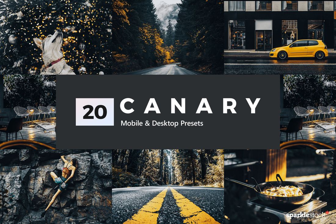 20 Canary Yellow Lightroom Presets and LUTs