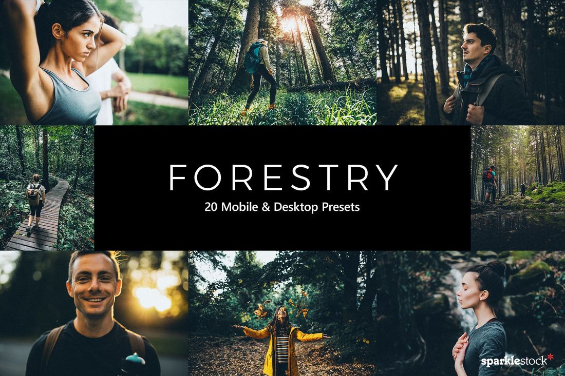 20 Forestry Lightroom Presets & LUTs