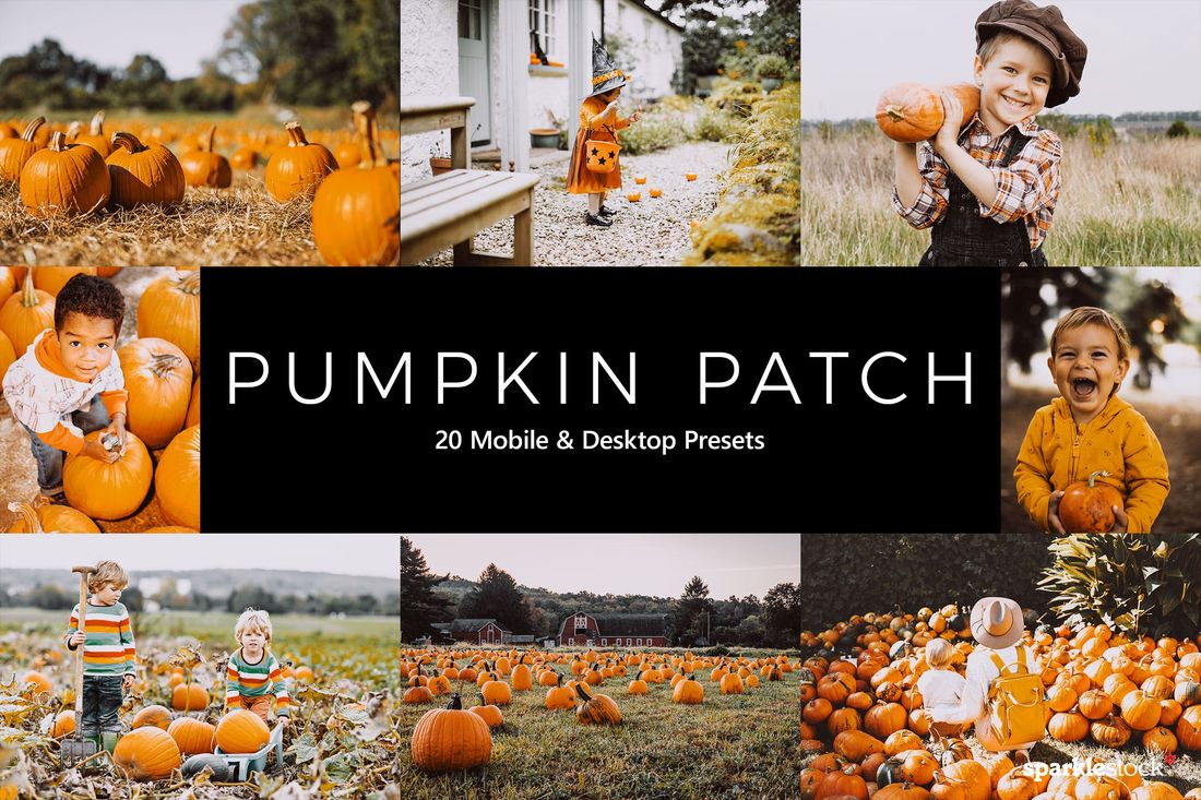 20 Pumpkin Patch Lightroom Presets & LUTs