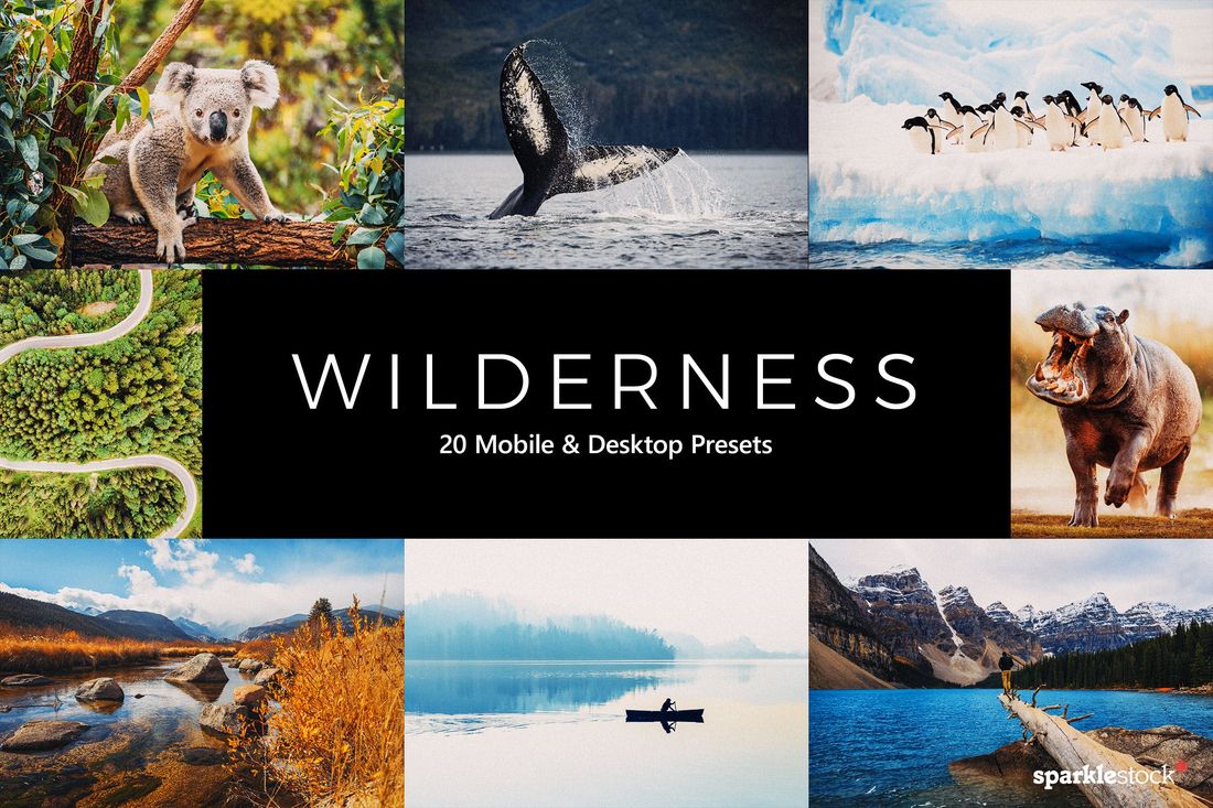 20 Wilderness Lightroom Presets & LUTs