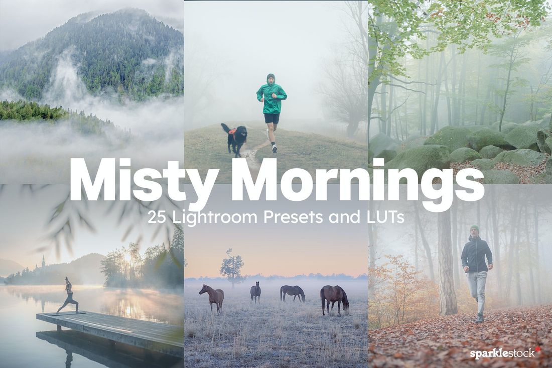25 Misty Mornings Lightroom Presets and LUTs