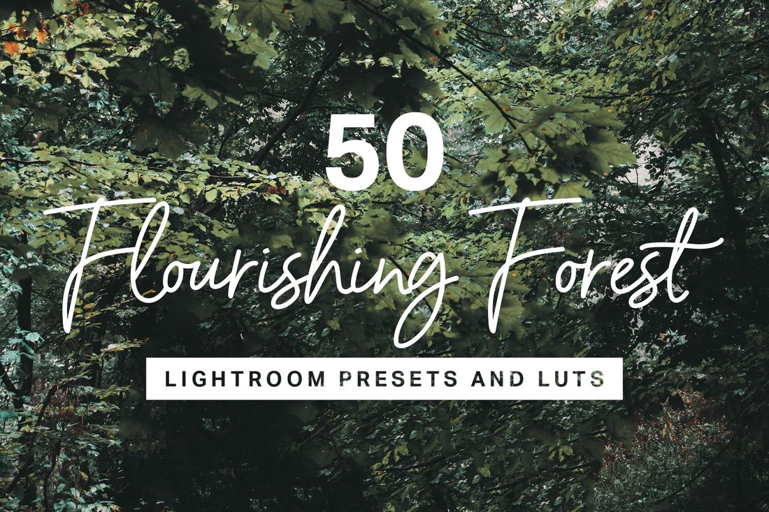 50 Forest Lightroom Mobile and Desktop Presets