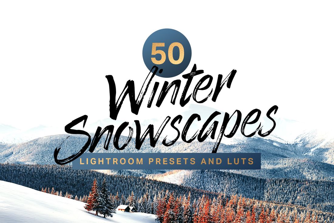 50 Winter Snowscape Lightroom Presets and LUTs