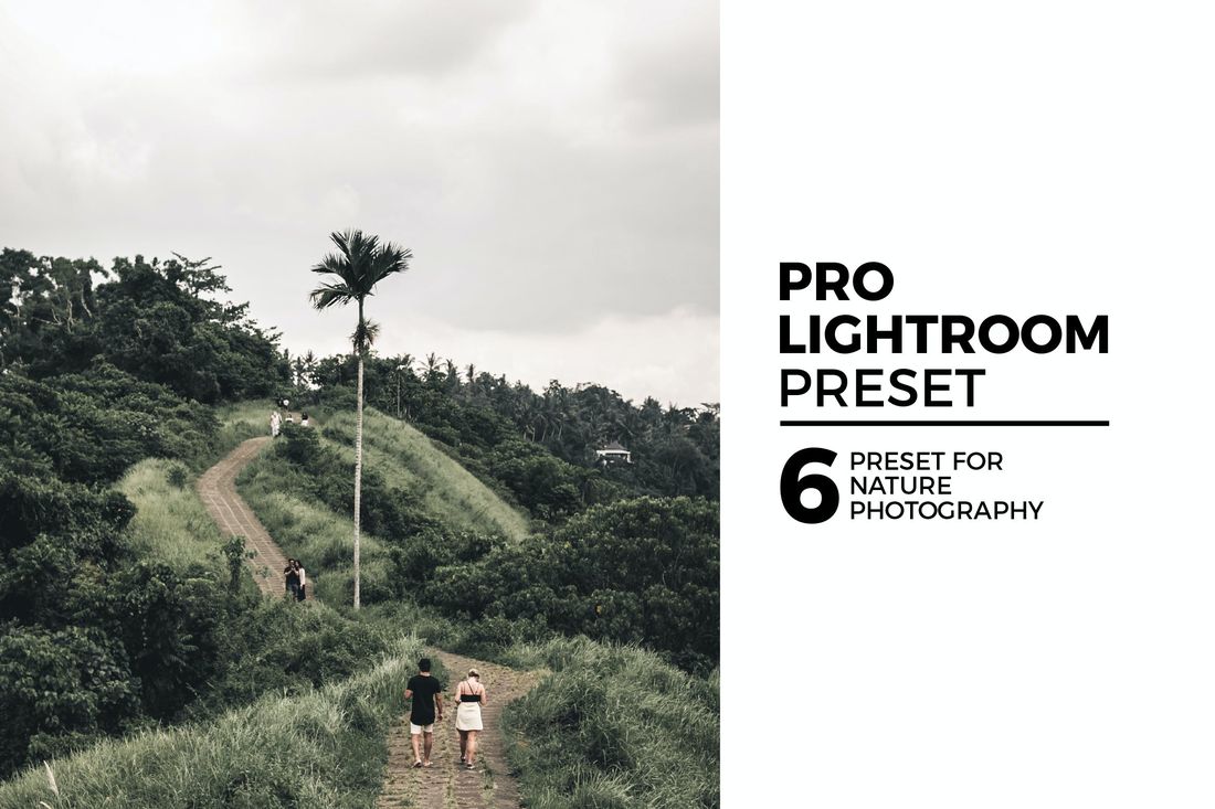 6 Nature Lightroom Preset