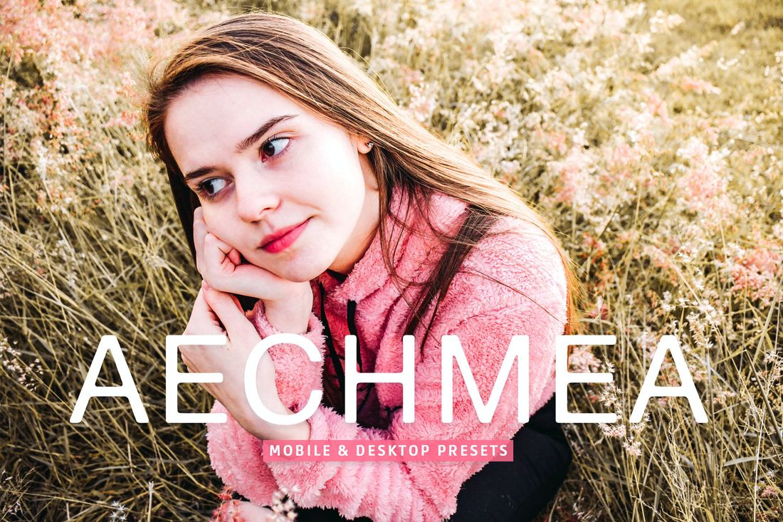 Aechmea Mobile & Desktop Lightroom Presets