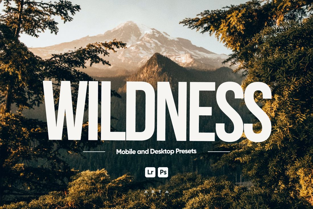 ARTA Wildness Presets for Lightroom