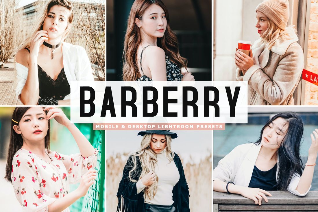 Barberry Mobile & Desktop Lightroom Presets