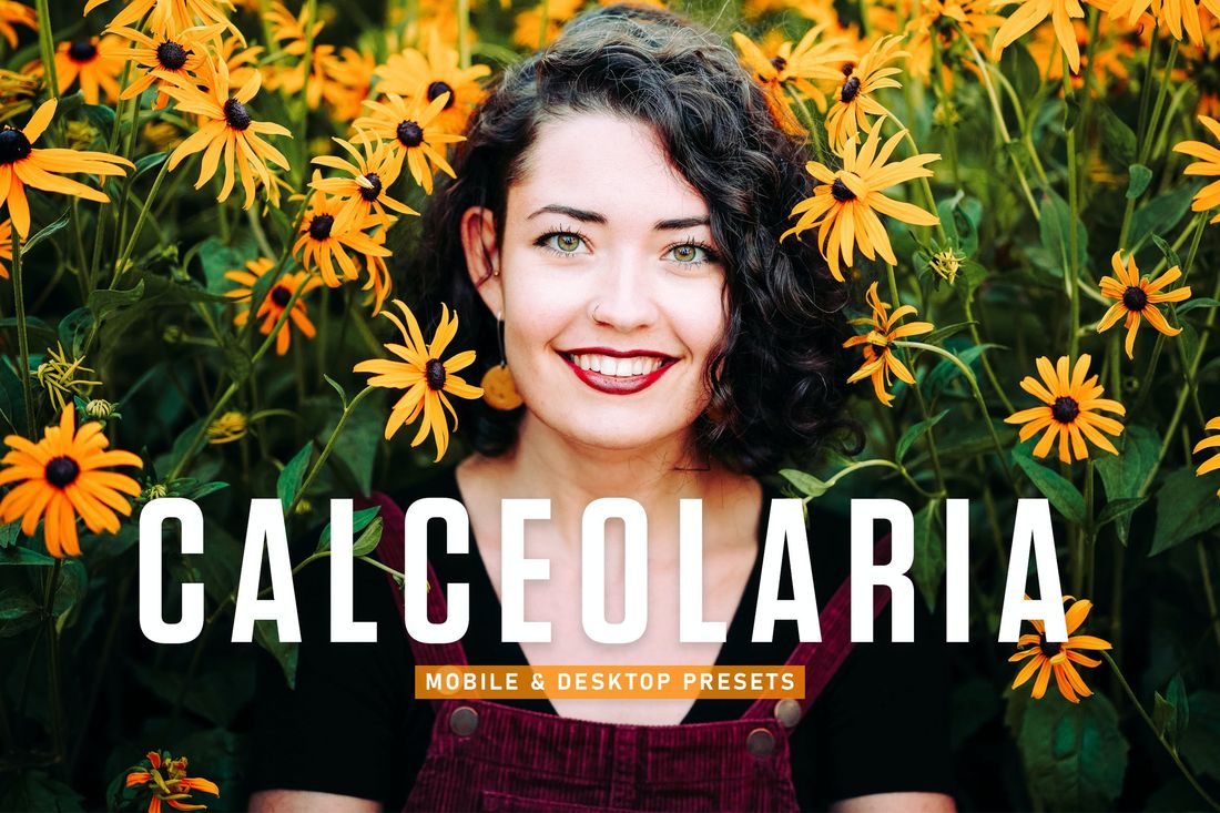 Calceolaria Mobile & Desktop Lightroom Presets