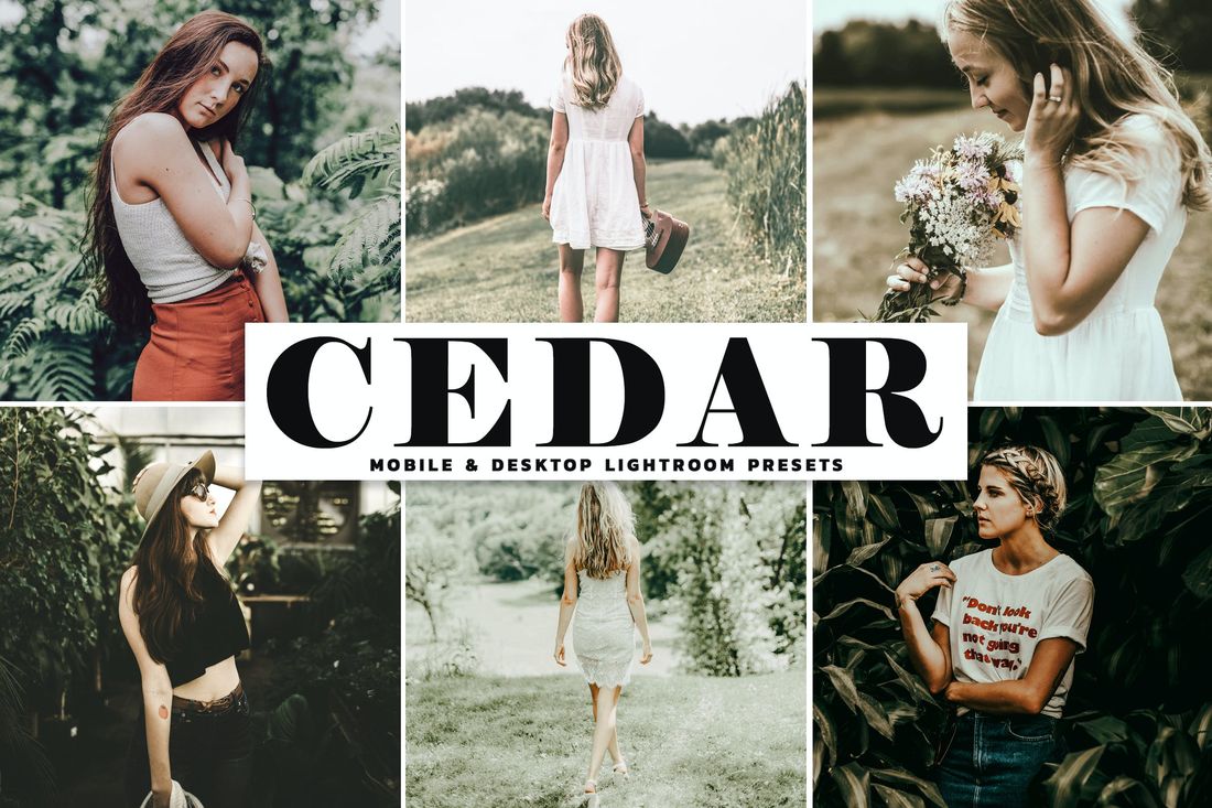 Cedar Mobile & Desktop Lightroom Presets