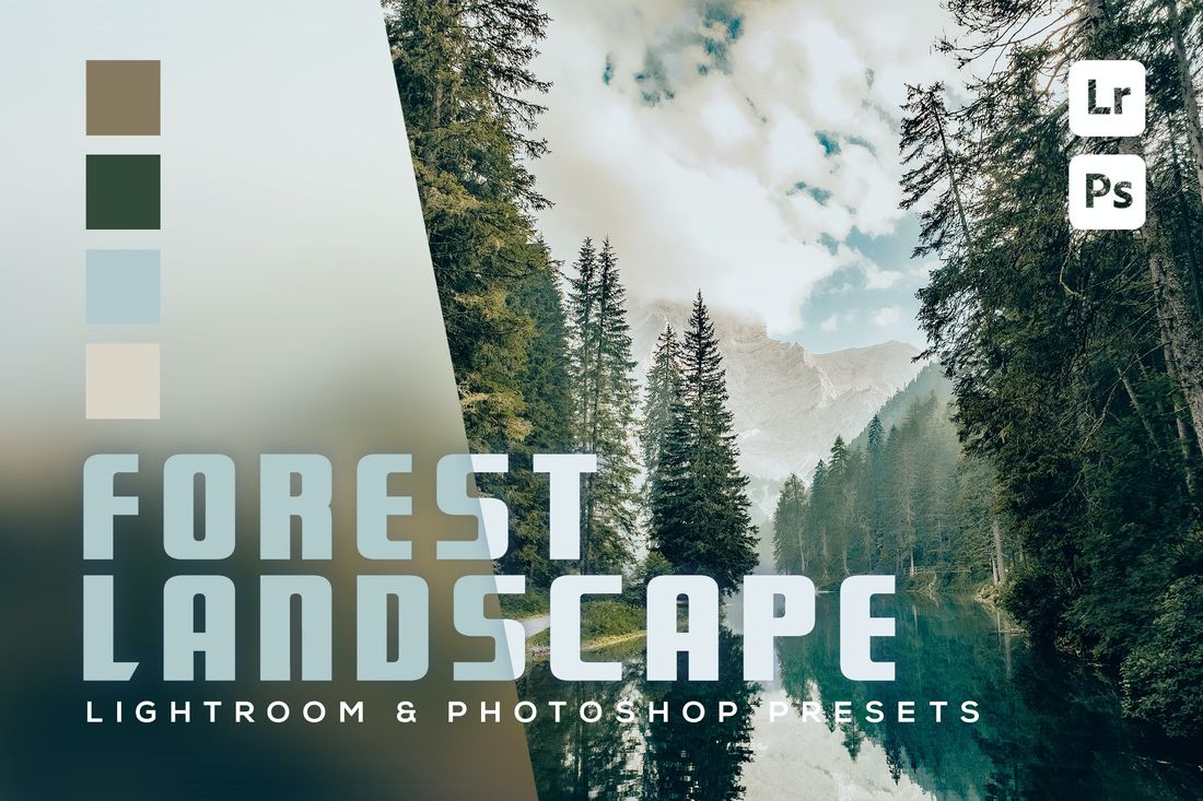 Forest 7 Landscape Lightroom and Photoshop Presets