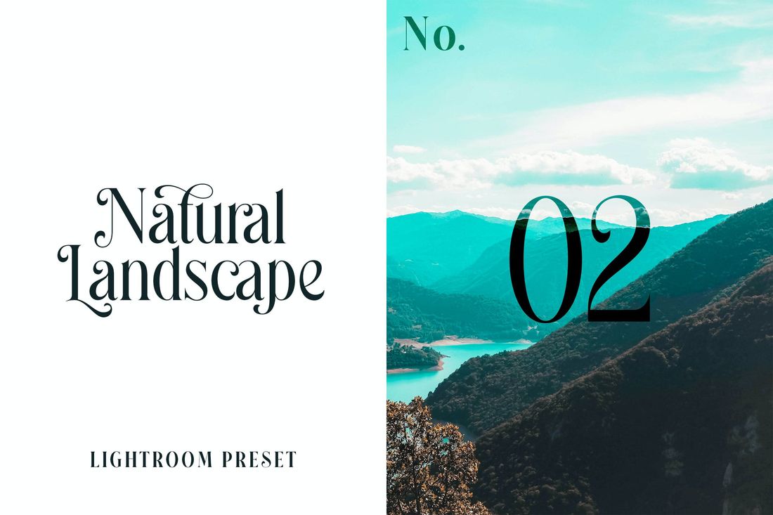 Lightroom Preset Natural Landscape No.02