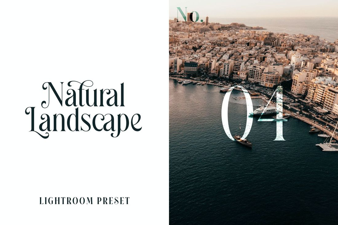 Lightroom Preset Natural Landscape No.04